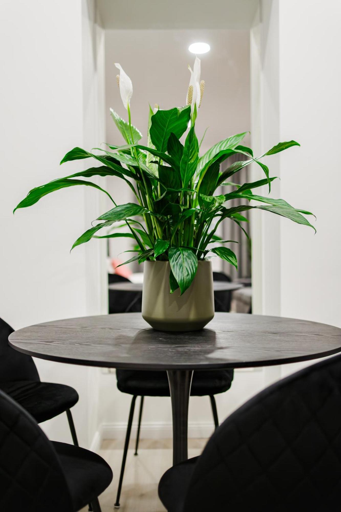 Rigaapartment Elizabetes 22 Self-Service Aparthotel 外观 照片